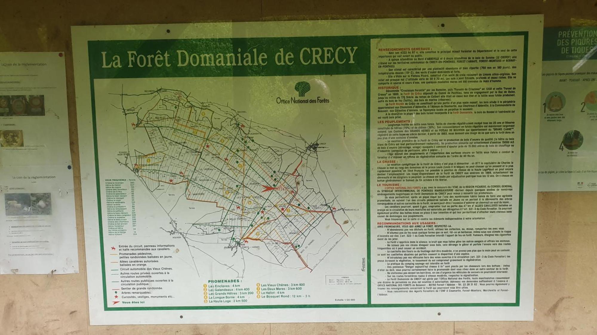 Crécy-en-PonthieuLa Fermette Des Ramolleux别墅 客房 照片